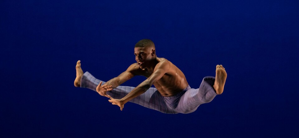 Winq tipt Holland Dance Festival 2024