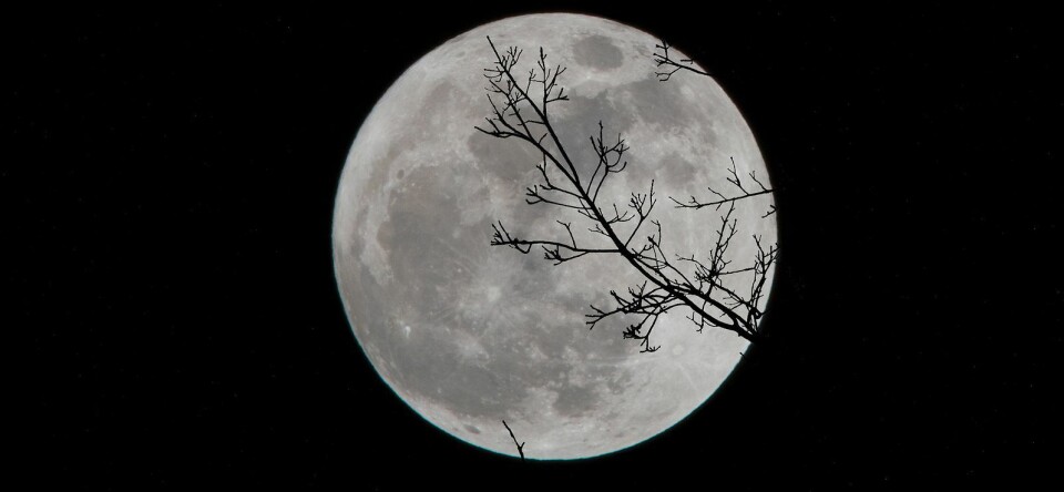 Halloween: dit zijn de beste kostuumideeën voor dit jaar