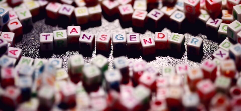 Nieuw: WhatsApplijn voor transgender migranten