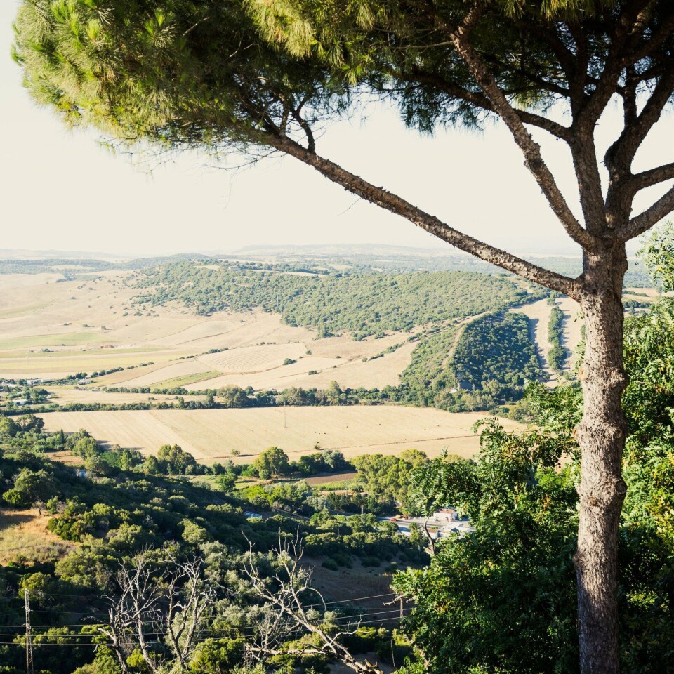 Vejer de la Frontera kijkt uit over het glooiende achterland van Cádiz.