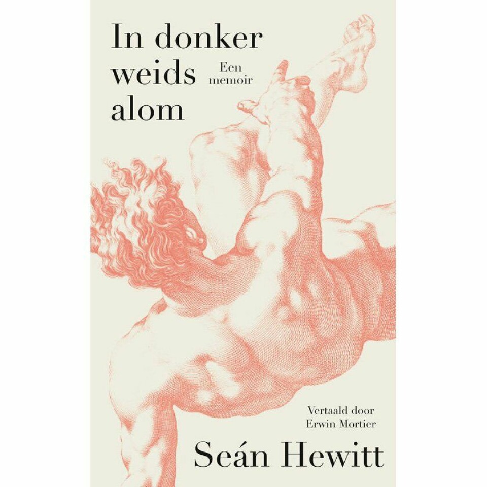 Boekcover van In donker weids alom - Seán Hewitt