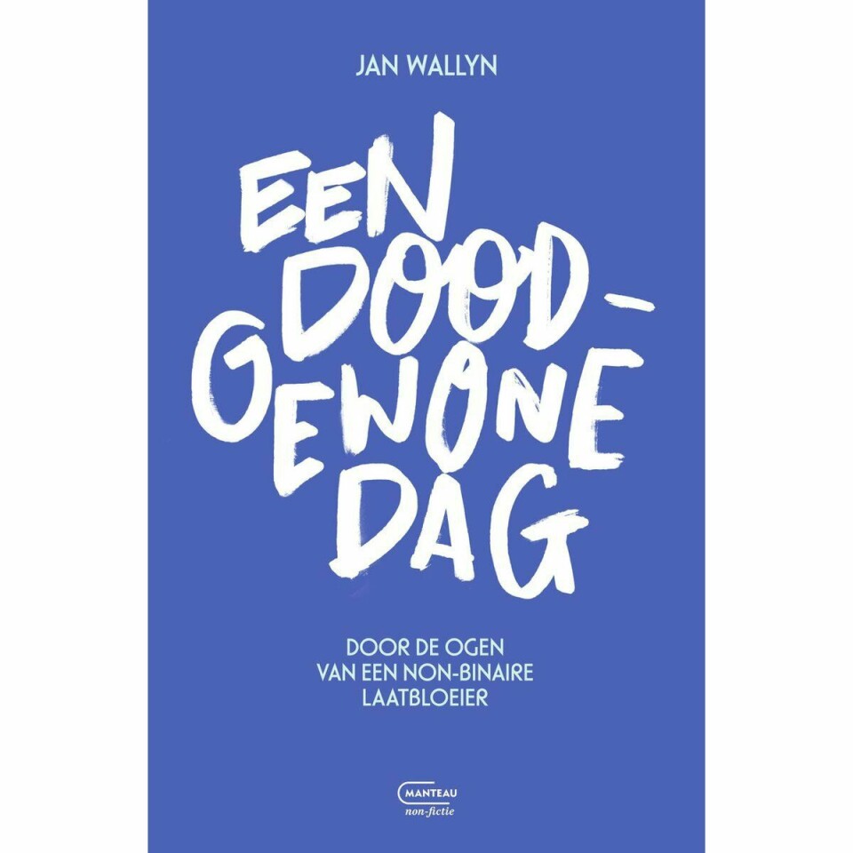 Boekcover van Een doodgewone dag - Jan Wallyn