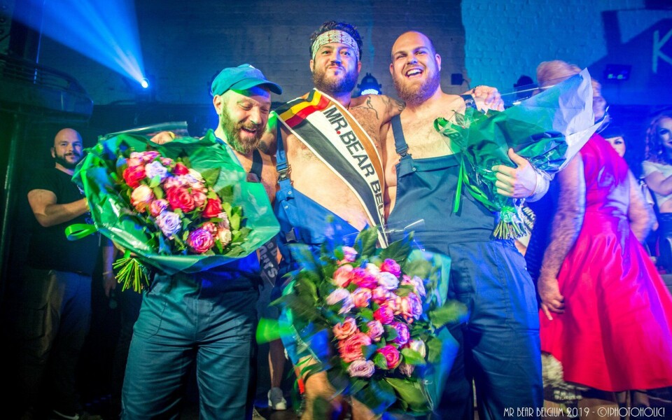 Mister Bear Belgium 2019