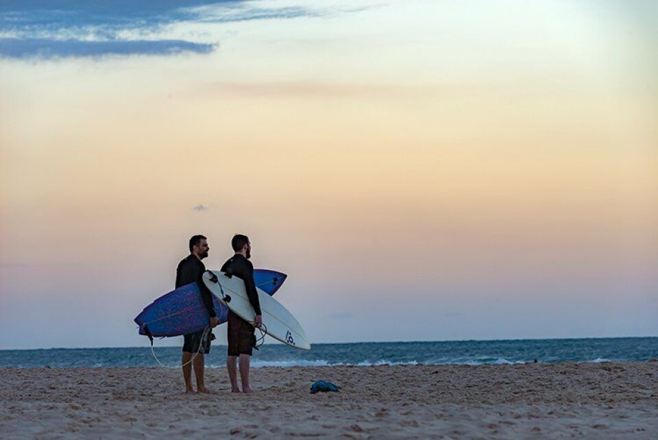 Gay surf club Gay surf club