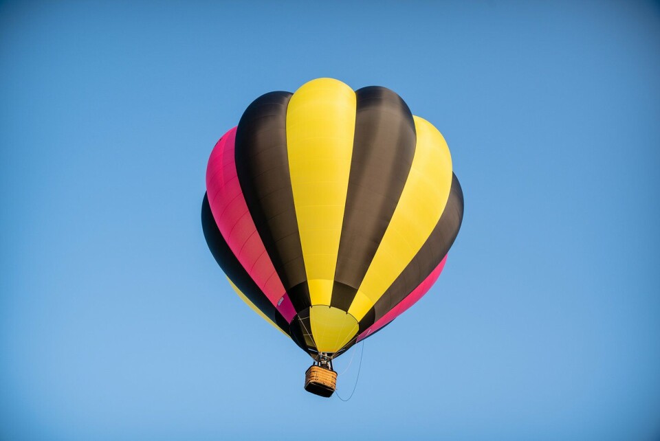 Ballon De Kleine Wesp in de lucht