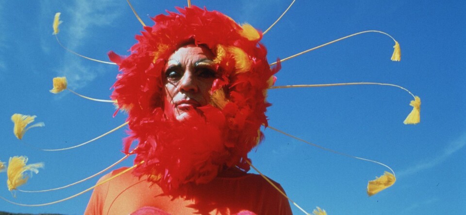 Win! Kaartjes voor Priscilla, queen of the desert