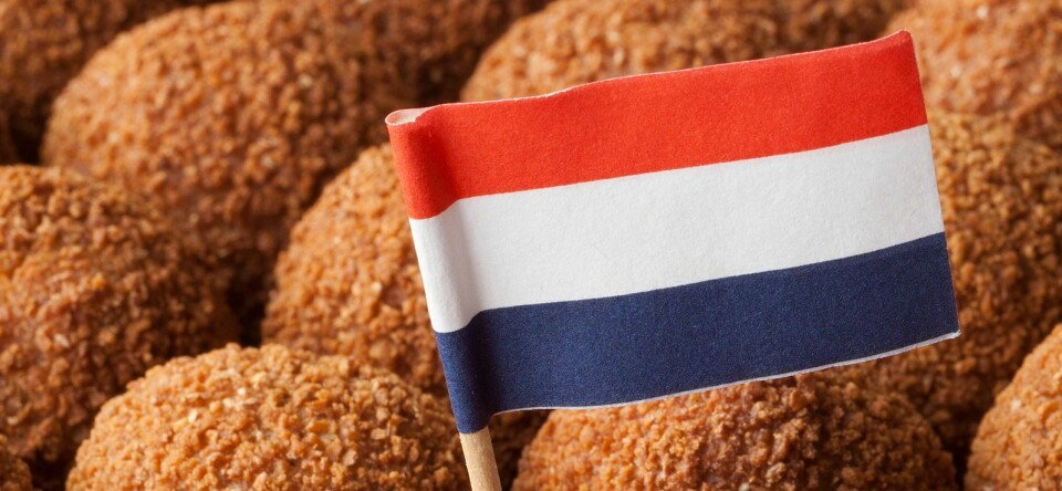 Waarom zou ik in Nederland blijven wonen?