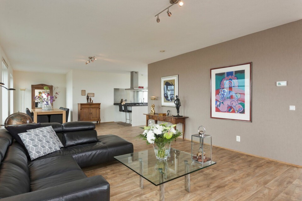 De zeer ruime woonkamer (59 m2). Penthouse Spaarne