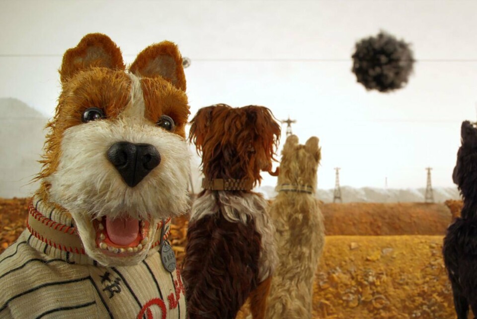 Isle of Dogs is een een pijnlijk actuele ode aan outsiders (****)