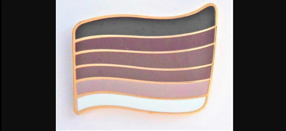 Geen goed idee: de Straight Pride badge