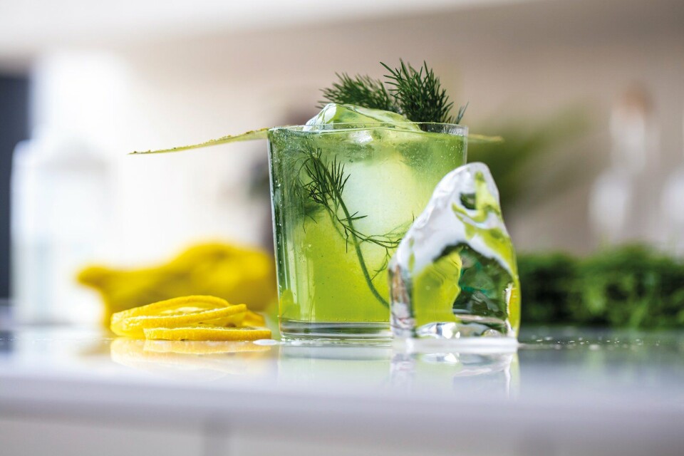 Quoocker Mocktail Frozen Quoocker Mocktail Frozen
