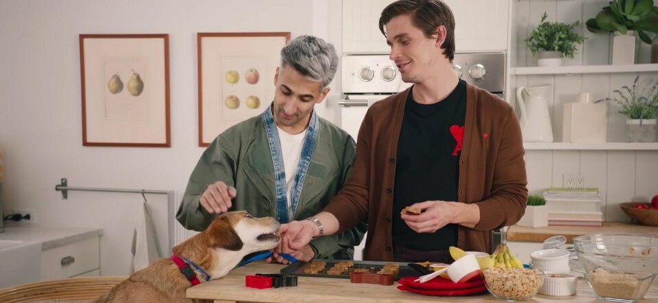 Special: de jongens van Queer Eye geven hondje Lacey een make-over