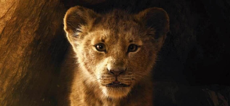 De nieuwe Lion King ziet er prachtig uit