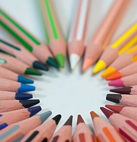 Scholen verplicht te zorgen voor veiligheid lbhtq’s in de klas