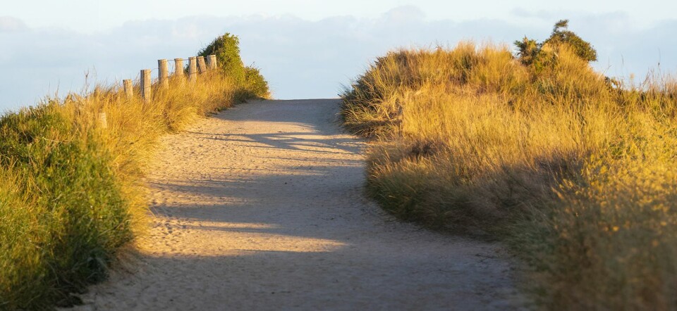 Win een weekend aan zee in Zoutelande!