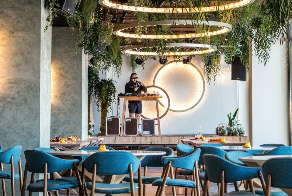 Dakkassen, alles-in-een en aan tafel bij de chef