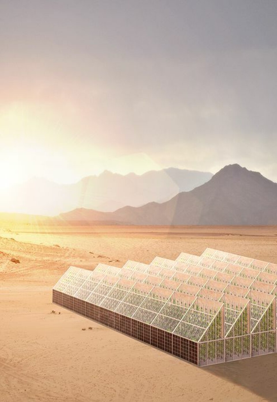 Vijf manieren om klimaatproblematiek het hoofd te bieden