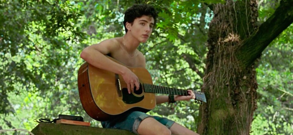 Call Me By Your Name-regisseur hint op vervolg… Mét Timothée Chalamet
