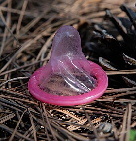 Op jacht bij homo-ontmoetingsplaats de Nieuwe Meer