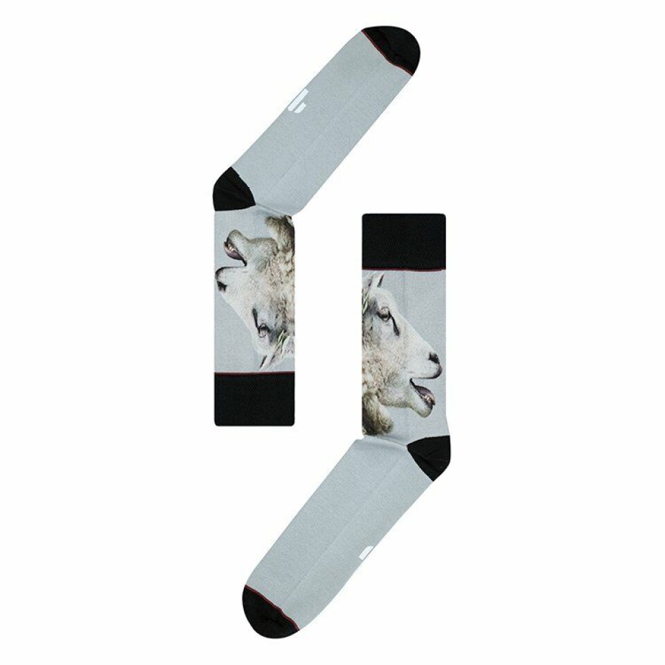 Winq ♥︎ Loves Sock My Feet Winq ♥︎ Loves Sock My Feet