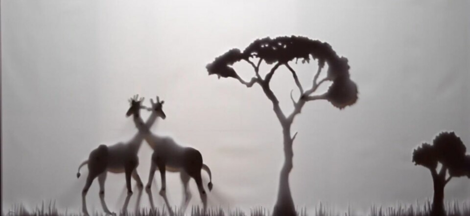 Bekijk deze ‘queer love story’ over twee… giraffen