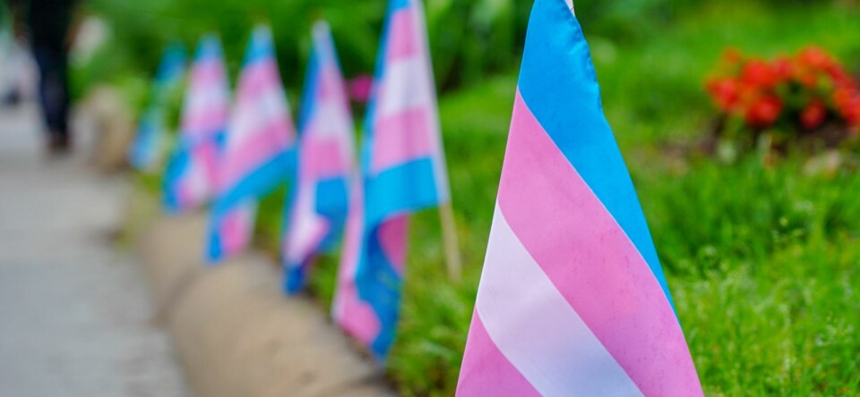 Nieuw: de Transgender Wegwijzer, een kaart voor allerlei soorten hulp