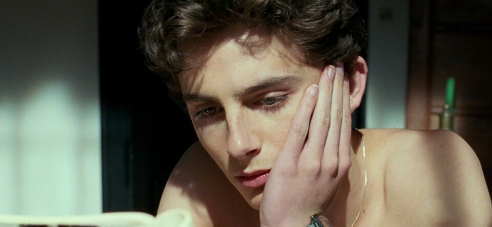 Call Me By Your Name-ster speelt Bob Dylan