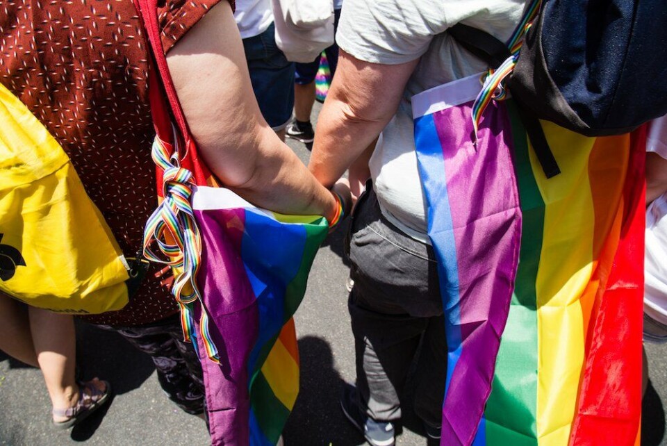 Foto’s: zo zag Tel Aviv Pride eruit
