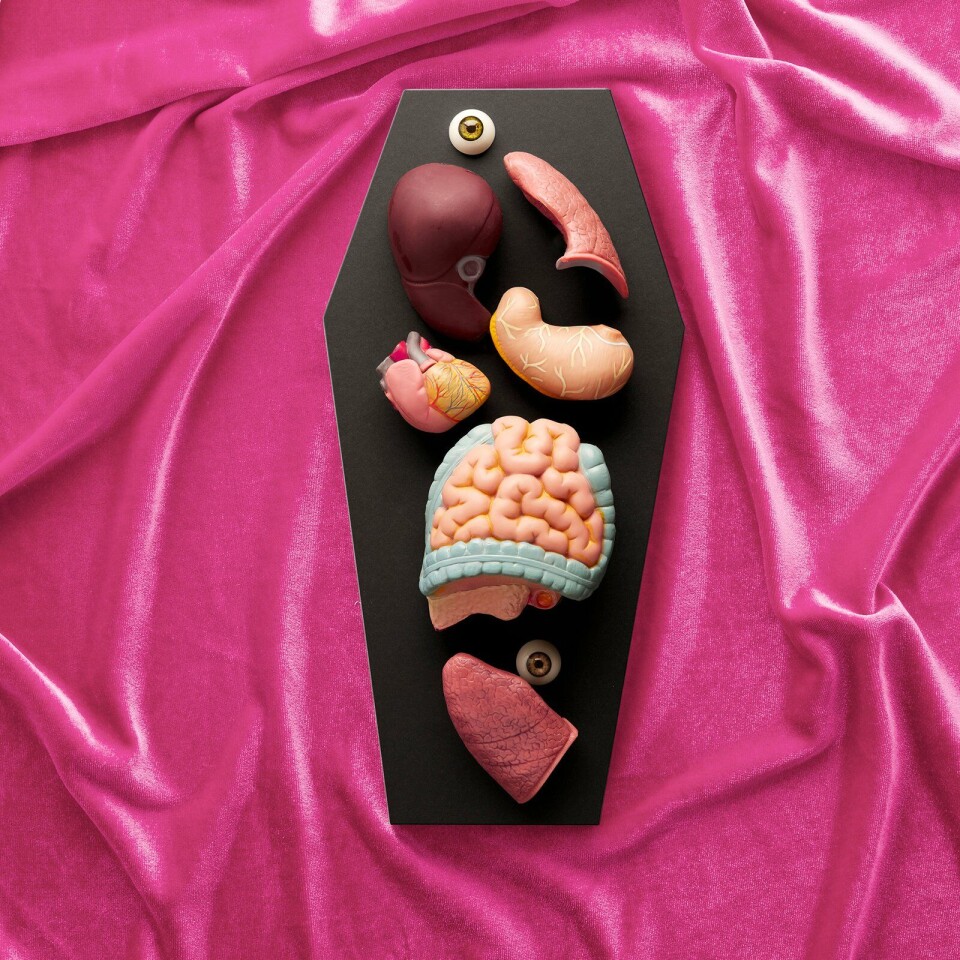 © Van Santen & Bolleurs organen in doodskist op roze fluweel