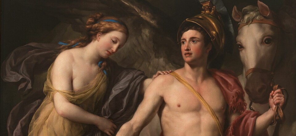 De sensuele schoonheid van de mannelijke vorm