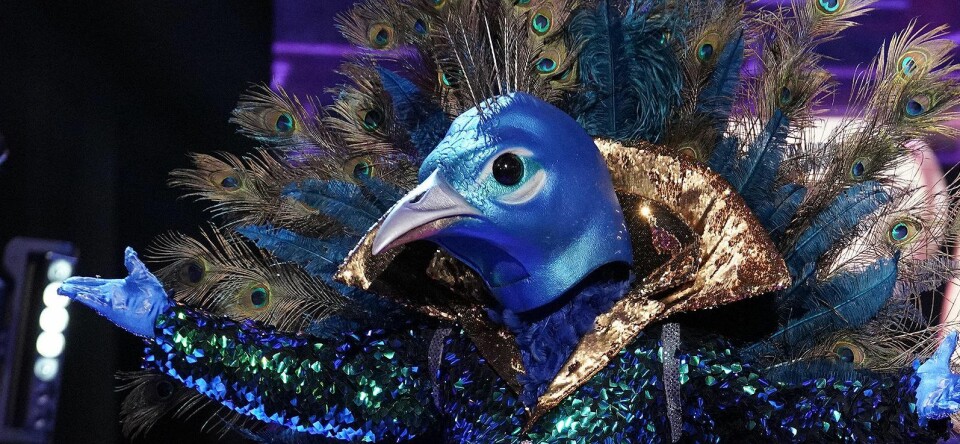 Het is camp, het is raar, het is grappig: maak kennis met The Masked Singer