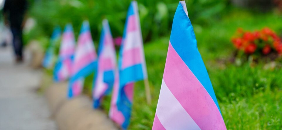 Nieuw: hulplijn 'Genderpraatjes' voor transgender jongeren
