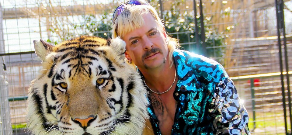 Nicolas Cage gaat Joe Exotic spelen in tv-serie over Tiger King