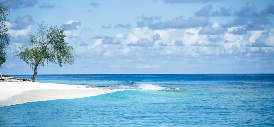 Reizen: buitenbeentjes in de Indische oceaan