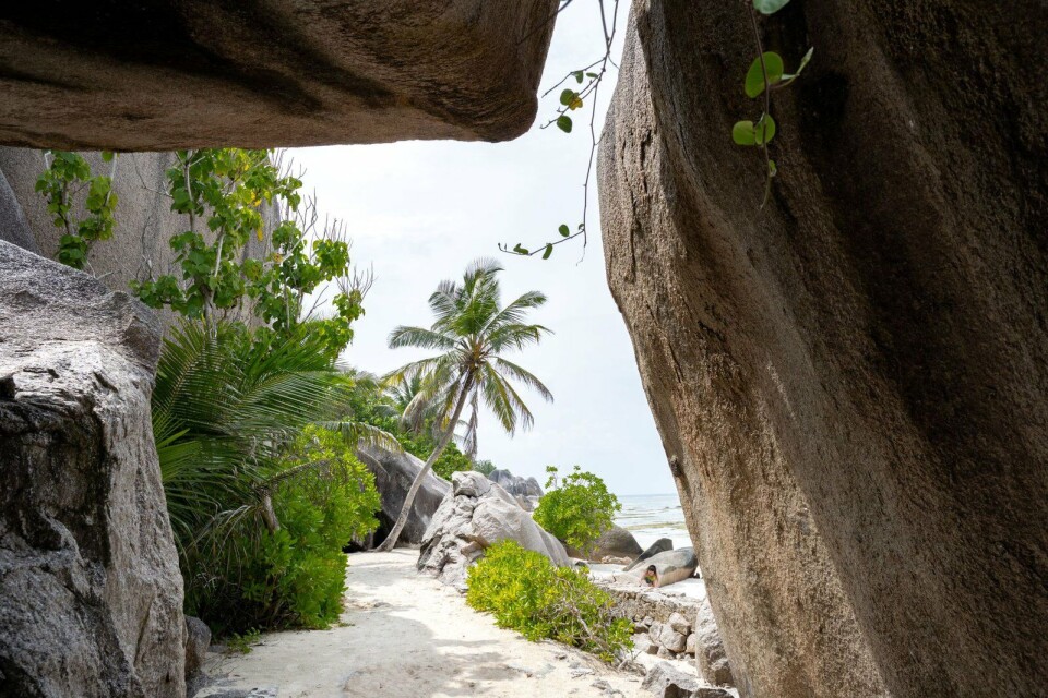 De granieten rotsen op het strand van La Digue. De granieten rotsen op het strand van La Digue.