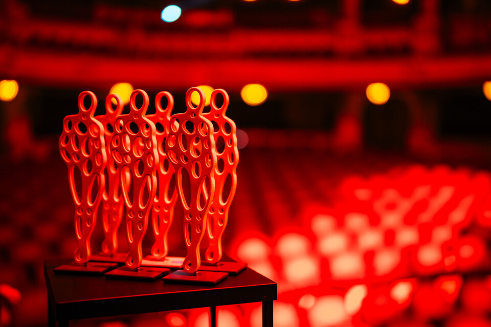 De prachtige Winq Diversity Awards, ontworpen door Merian van Rooijen.