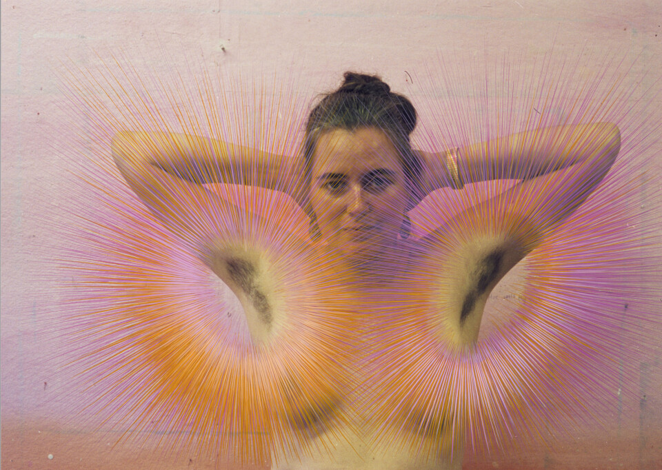 Nieuw in het Rijksmuseum: Point of View, een exposite over gender door de eeuwen heen Butterfly, Kinke Kooi, 1997. Schenking van Kinke Kooi, Arnhem