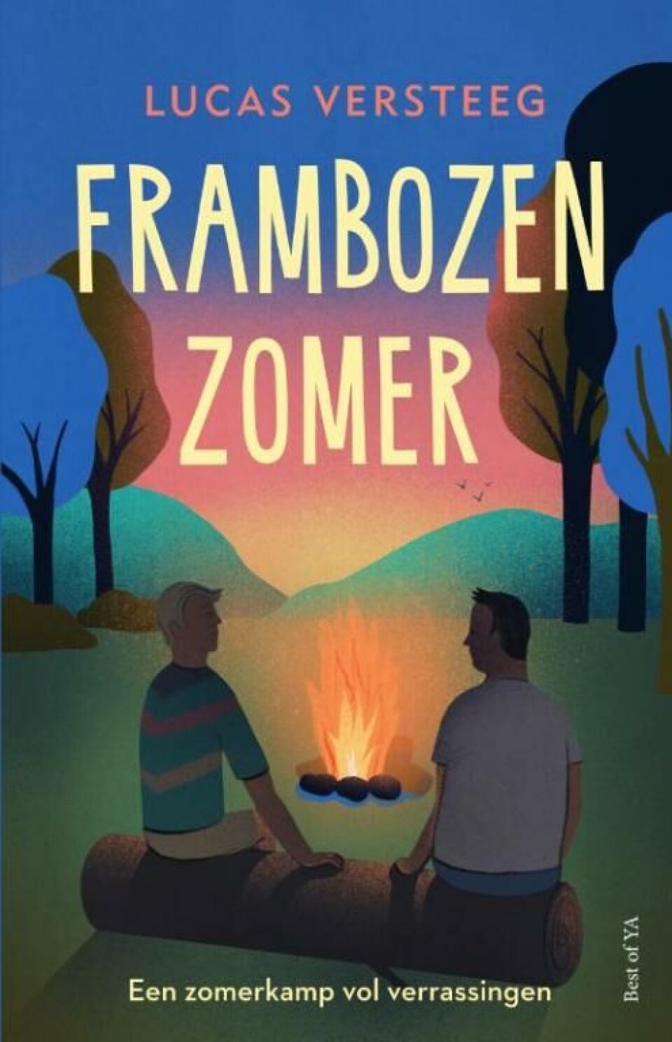 Nieuw: Frambozenzomer, een boek over twee jongens en een zinderende zomer Frambozenzomer