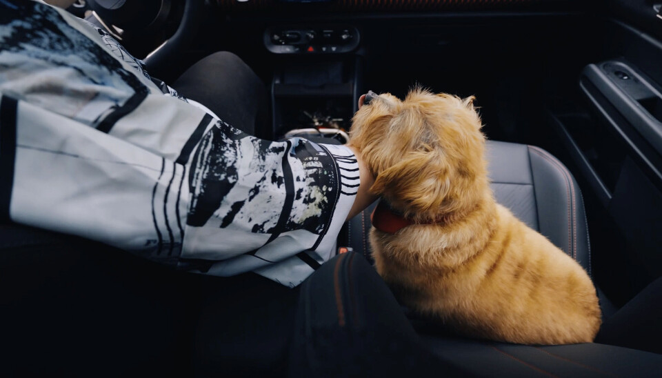 Otis in de nieuwe MINI Countryman. Otis in de nieuwe MINI Countryman.