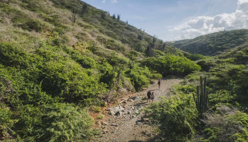 5 x adembenemend Aruba Wandeltocht op Aruba