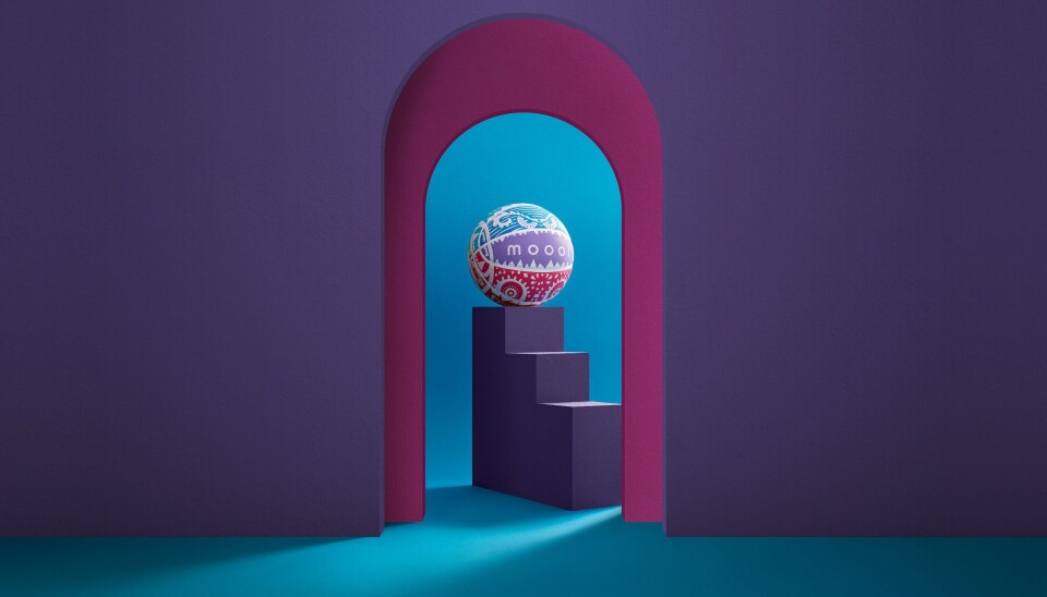 De Monster Basketball Multicoloured. De Monster Basketball Multicoloured.