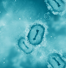 Mpox (apenpokken): de stand van zaken