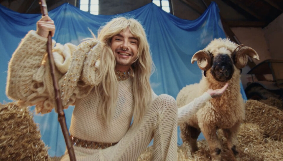 Bijzonder dit: kledingmerk Rainbow Wool gebruikt wol van homoseksuele schapen Rainbow Wool