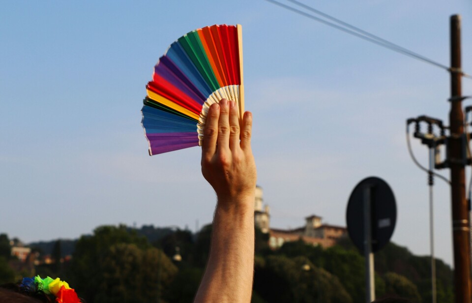 EuroPride in 2027 naar Turijn, Italië Torino Pride 2017