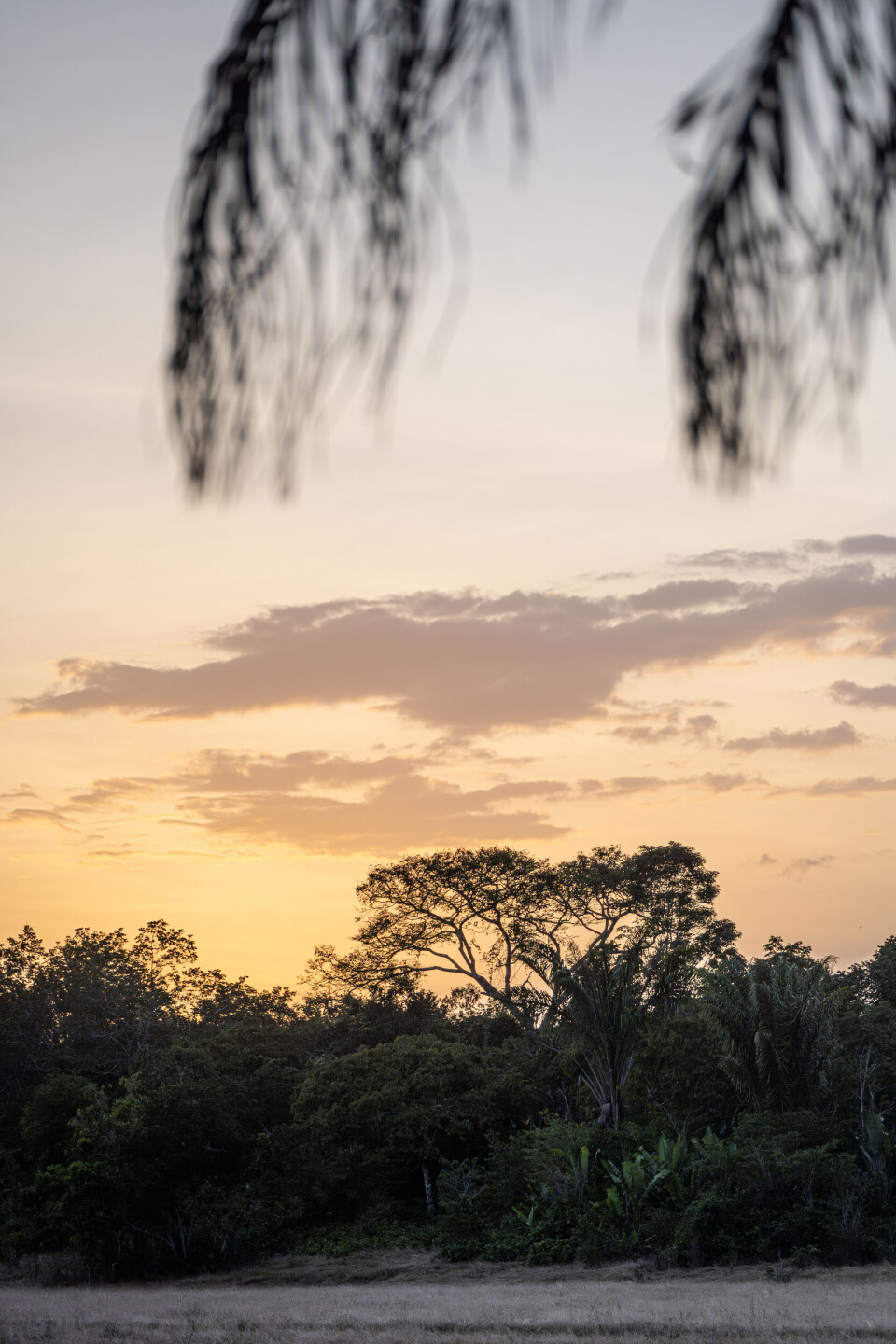 Zonsondergang boven de airstrip van Paloemeu. Zonsondergang boven de airstrip van Paloemeu