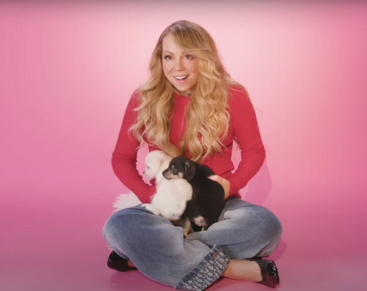 All I Want For Christmas Is… a Puppy! Mariah Carey vertelt over haar nieuwe kerstshow in dit puppy-interview Mariah Carey