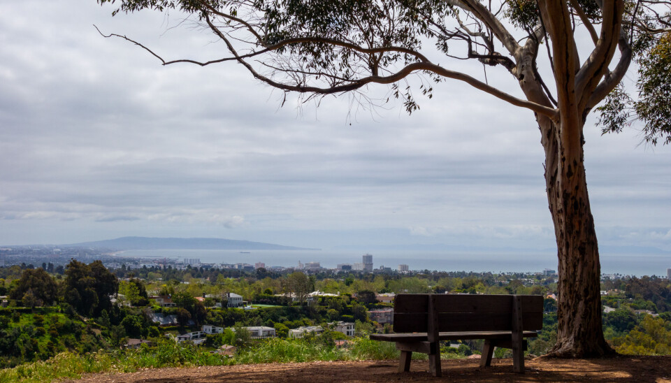 Park in Amerika Park in Amerika