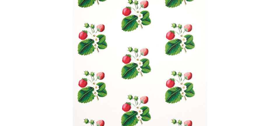 natuur aan de muur Strawberry Hill-behang van Schumacher