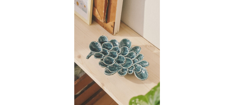 druiventro(t)s Schaal van Søstrene Grene