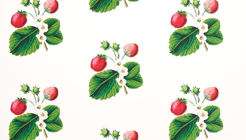 Strawberry Hill-behang van Schumacher Strawberry Hill-behang van Schumacher